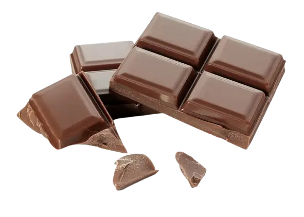 Mushroom Chocolate